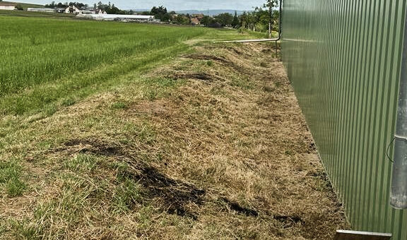 Bild Einsatz 24.05.23