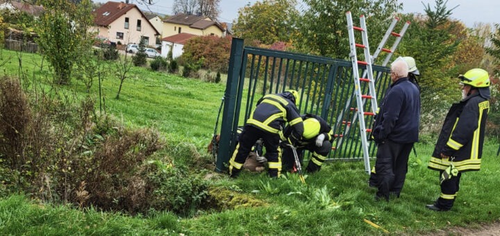 Einsatz Tierrettung (reh In Zaun)